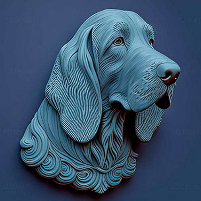 Blue Gascon Basset dog